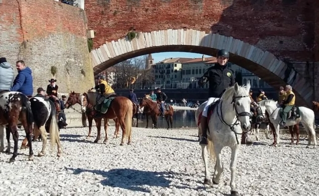 Halbtägiger Reitausflug nach Verona mit Mittagessen Halbtägiger Reitausflug nach Verona mit Mittagessen
