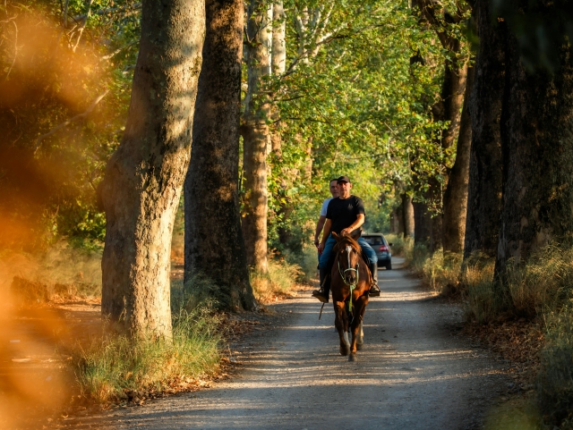 Half day horseback riding trip to Verona with lunch