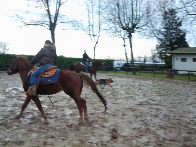 A cavallo 
