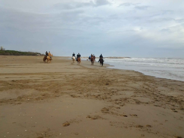 Passeggiata in spiaggia