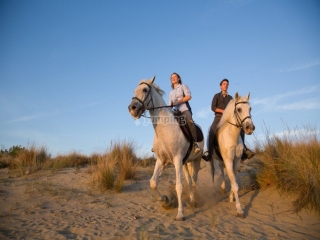 Excursion à cheval à Venise avec collation une journée