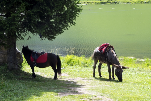  Descansando cerca del lago 
