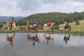 Horseback riding + tasting in Lessinia 4h