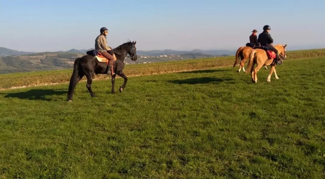 Passeggiata a cavallo Lessinia con spuntino 8 ore
