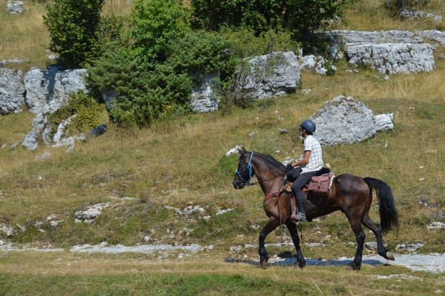 Gira a cavallo della Lessina