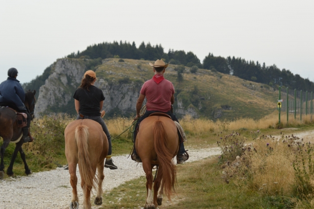 Sulla via del ritorno