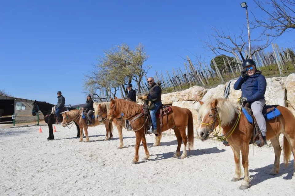 Dentro al nostro maneggio