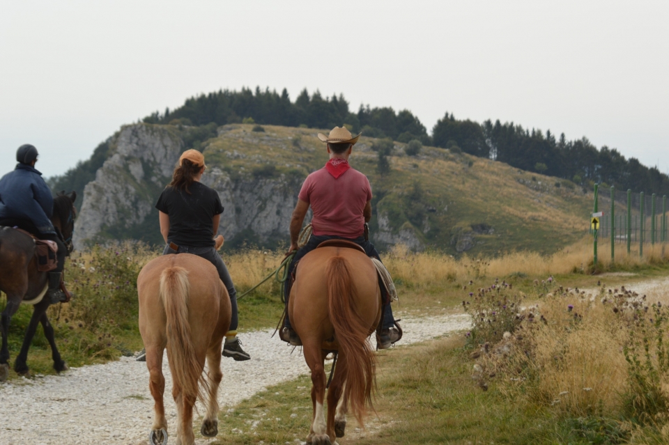 Sulla via del ritorno