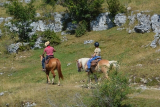 Passeggiata cavallo 1h+1 notte B&B Lessinia