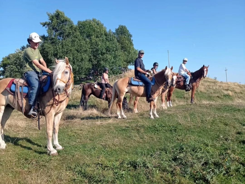 Passeggiata a cavallo a Verona