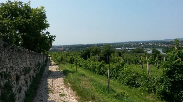 Sentieri e natura 