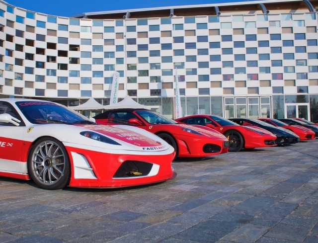  plus de 4000 chevaux 