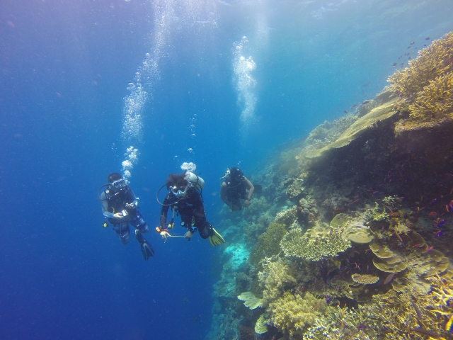 diving insieme!
