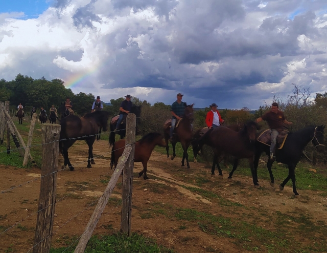  Partiendo 