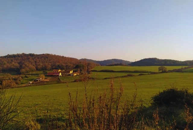  Nuestro panorama 