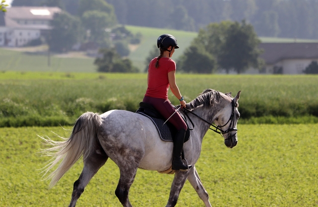  Galop