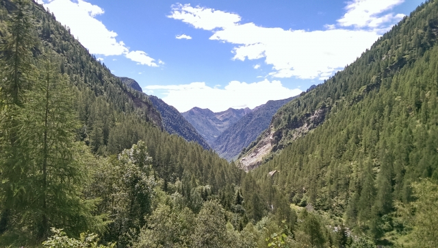  Wälder des Valsesia