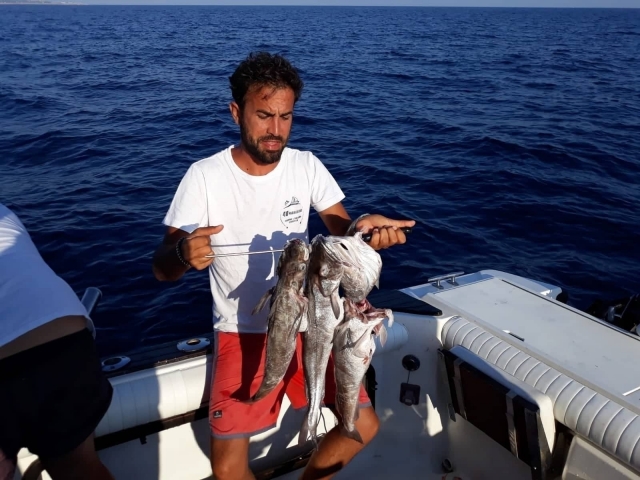  pesca 