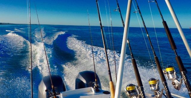 vamos al lugar de pesca 