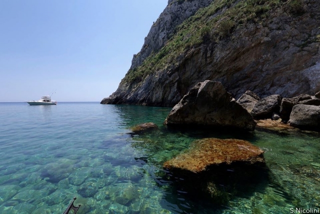  One of the coves 