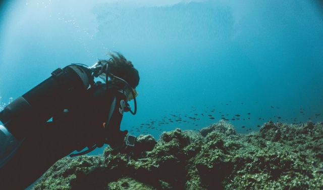  diving into the seabed 
