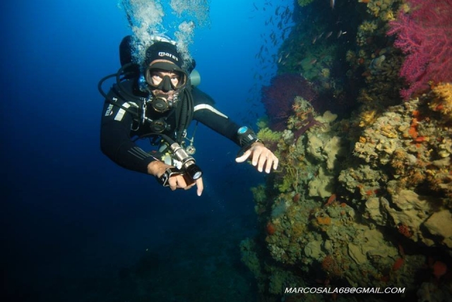 buceo de día 