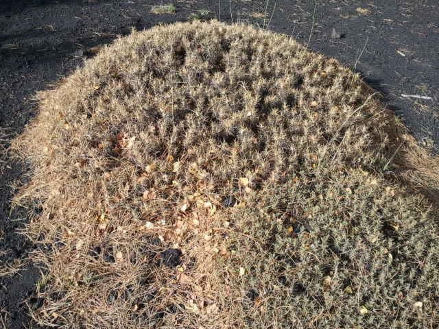  Einer der Krater 