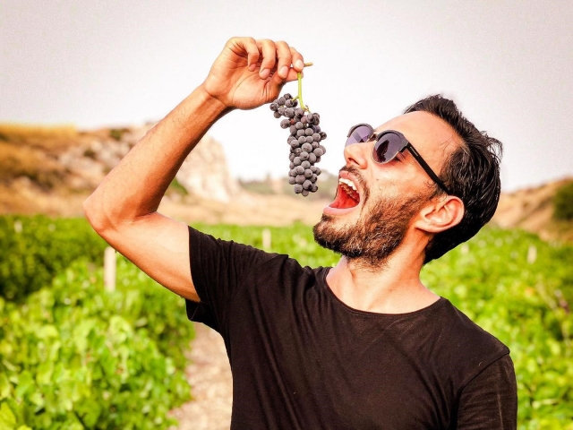  Dégustation de fruits de saison 