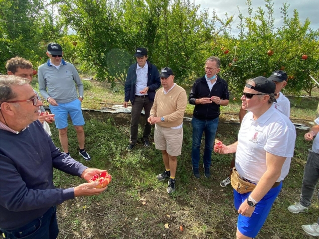 Seasonal fruit tasting 