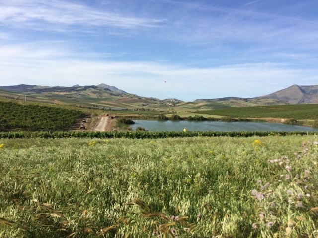  Die Landschaft von Segesta 