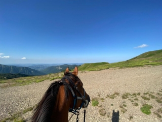 步行穿越皮斯托亚山丘 1 小时 + 开胃酒
