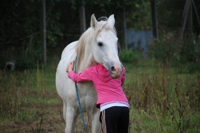  affinity with the horse