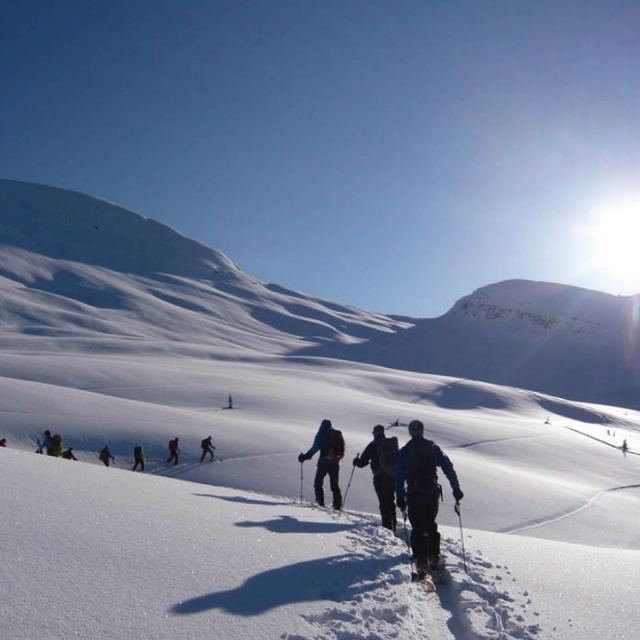 tra la neve