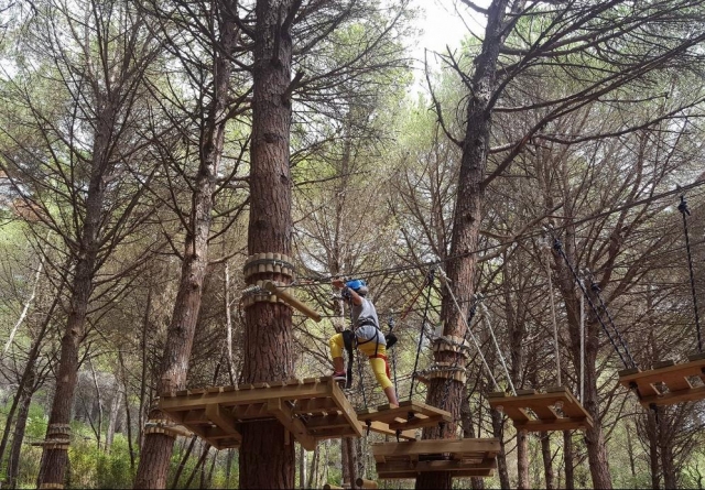 parc aventure 