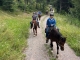 Passeios a Cavalo Mântua