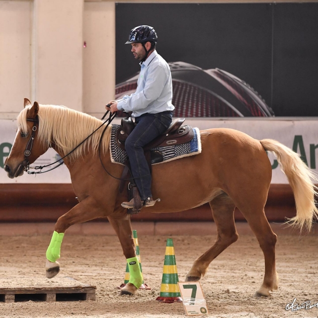 Équitation au centre équestre 