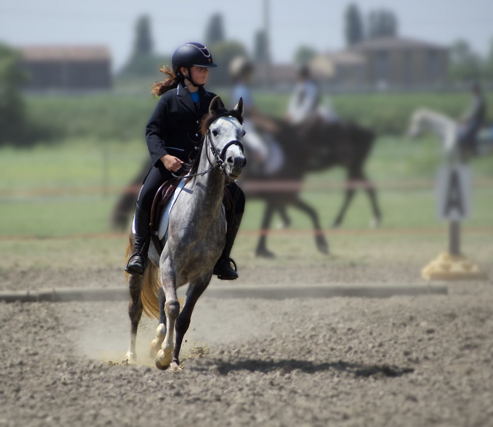Trotando Trotando