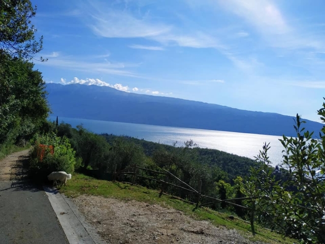  Our landscapes 