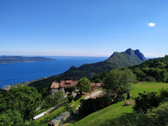  Lago View 
