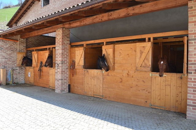 Vor dem Reitstall 