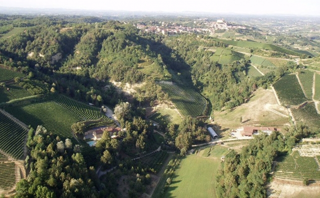  View of the park 