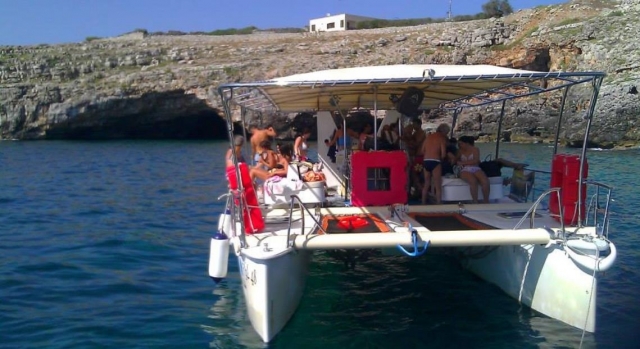  catamarán 