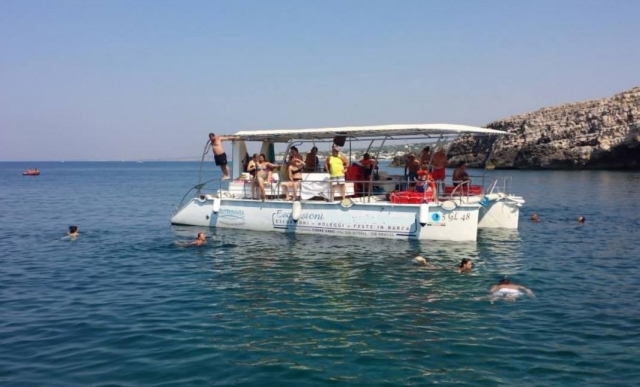  mediterranean 