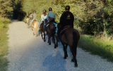 Paseo a caballo en el Parque Ticino 1h