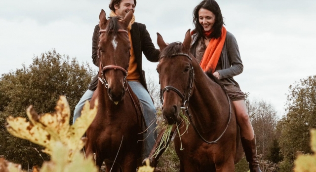  équitation 