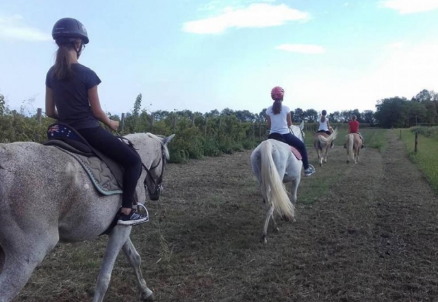 horseback riding 