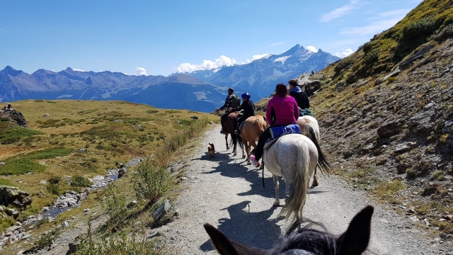  horse trekking 