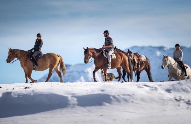  horseback riding in the snow 
