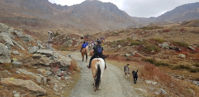  horse trekking 