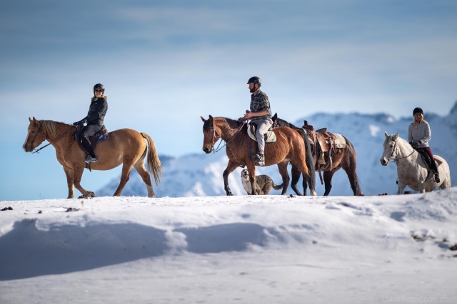  horse ride in the snow